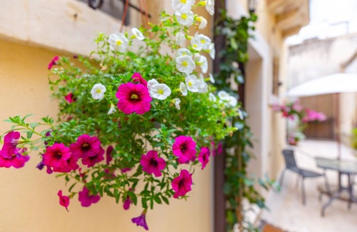 Noto Historic Centre House | Cozy vacation home in the historic center of Noto