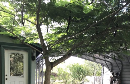 Brownsville House | Cozy Waterfront Hideaway on the Road to SpaceX