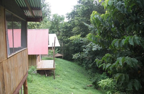 San Juanillo Apartment | Cozy Yogic Jungle Casita Close to Ocean