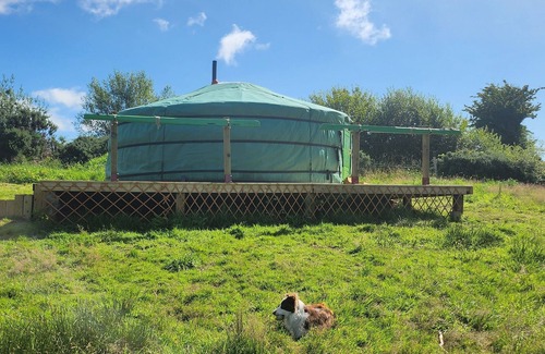 Dungannon RV Rental | Cozy Yurt in the heart of Tyrone countryside.