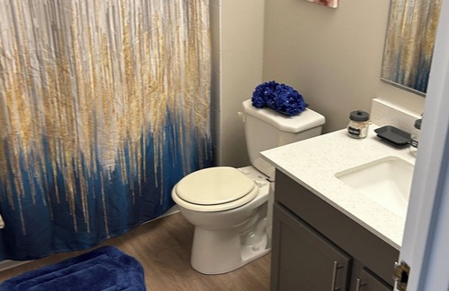 Oak Park Apartment | Cozy1 BDRM apartment Located In The Heart Of Downtown Oak Park by Glow & Explore