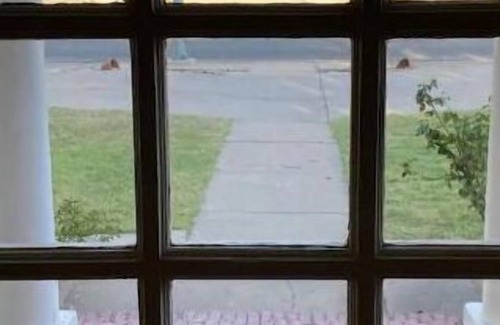 Amarillo House | Craftsman fenced yard 🐕🐾 single car garage