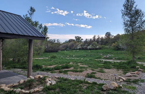 Crawford Cabin | Creekside Cabin on 80 Acres!