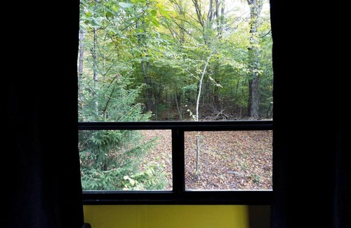 Dailey House | Creekside Camper/Mountain Hiking/National Forest!
