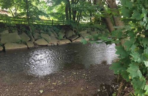 Otego Apartment | Creekside Chalet + Allstar Deluxe