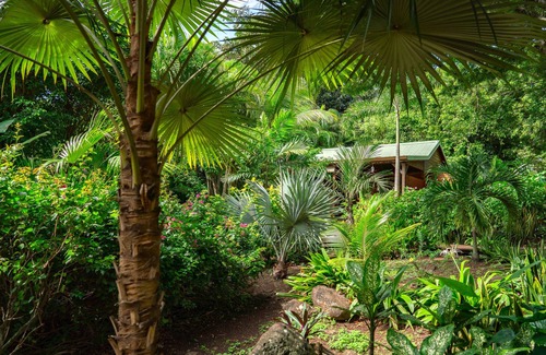 Deshaies Cottage | Creole Mezzanine Case . Wooden Hut With Mezza