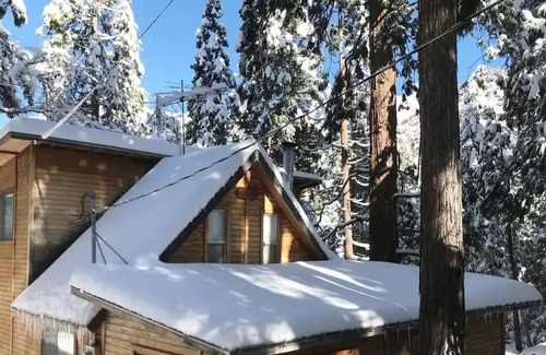 Forest Falls Cabin | Critter Cabin - a mountain of fun and great trails