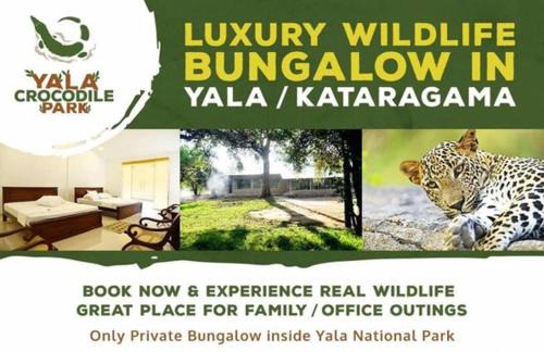 Tissamaharama Hotel | Crocodile park Bungalow