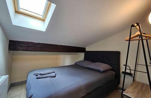 Saint-Etienne Apartment | Croix-Baragnon T3 - Centre-ville historique - parking