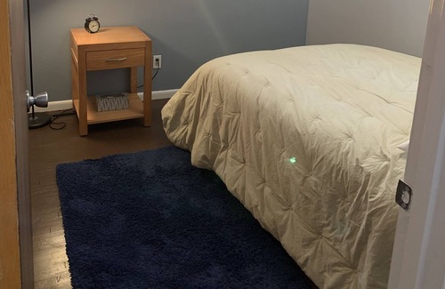 Bismarck House | Crowd pleasing newly renovated gem, GREAT central location and AlL yours. Pets.
