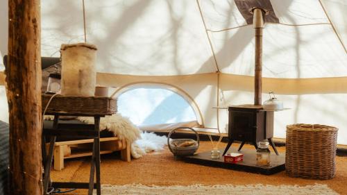 Dolanog Other | Cuddfan Bach (The Little Hideaway) at Camp Plas