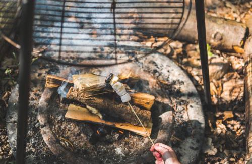 Dolanog Other | Cuddfan Bach (The Little Hideaway) at Camp Plas