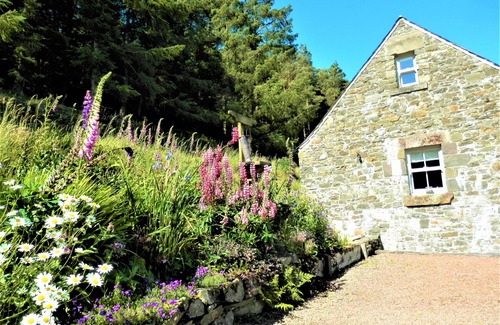 Hawick Cottage | Curlew Cottage, Hawick, Scottish Borders