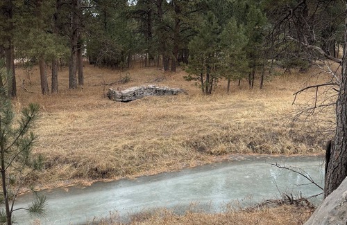 Custer House | Custer Gem! 6 Bedrms - Hot Tub, Steam Shower, AC, Fire Pit, 3 Sides Natl Forest