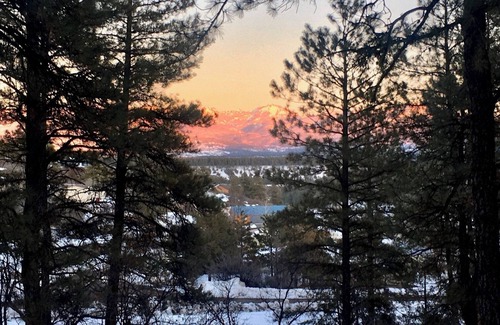 Pagosa Hills Cabin | Custombuilt, Stylish Hillside 2-bdrm home.Views,pines, privacy, 3 miles to town.