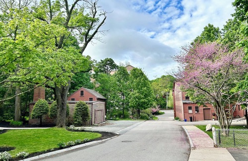 Arlington Apartment | Cute Accessible Studio: No stairs, W/D, Parking