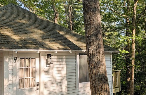Bar Harbor Cabin | Cute Cabin Nested in Pine Trees Cabin 12A