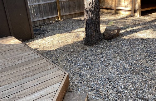 Munds Park Cabin | Cute cabin on quiet lot with lots of pines Dog Friendly