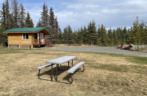 Kenai Cabin | Cute & Cozy Cabin @ Moose Tracks Lodging