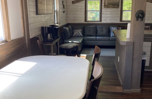 Cadillac House | Cute, Cozy Cottage walking distance to Lake Mitchell