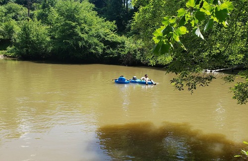 Greenville - Spartanburg Cabin | Cute Farm in law suite on Saluda River.