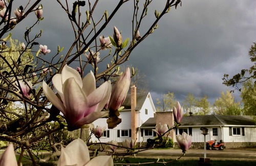 Traverse City Other | Cute house w/ separate apartment, farm and creek only 3 miles from downtown.
