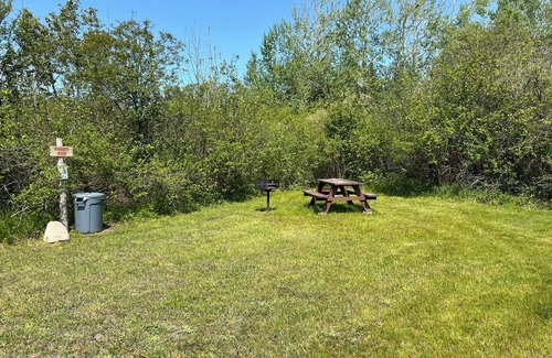 Petoskey RV Rental | Cute little campground -campsite in Petoskey with nature views