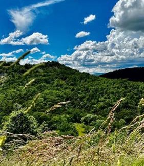 Revest-Saint-Martin House | Cute stone cottage in Provence