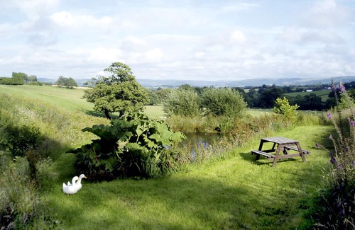 Builth Wells Cottage | CWM DERW COTTAGE, character holiday cottage in Llanafan Fawr