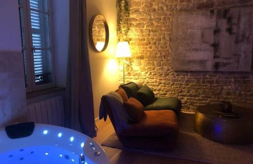 Macon Apartment | détente centre historique de MÂCON avec spa et ciné