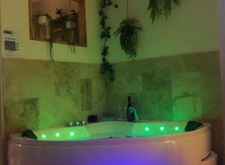 Macon Apartment | détente centre historique de MÂCON avec spa et ciné