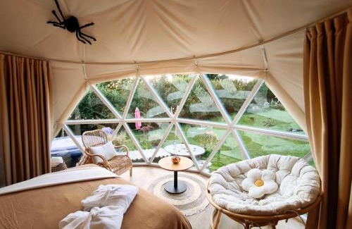 Floursies Other | Dôme Saint-Eloi