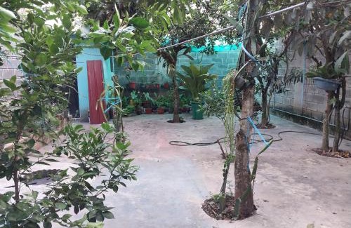 Moyobamba Apartment | D-302