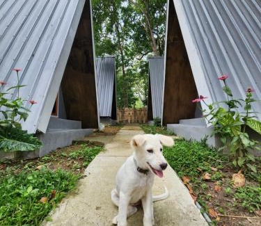West Manggarai House | D'flora Bungalow & Glamping
