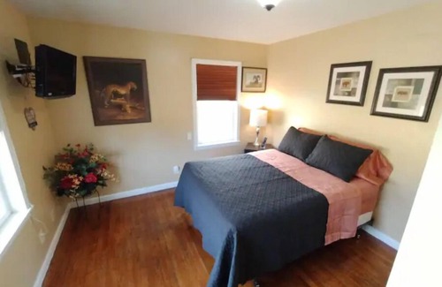 Bossier City House | D'Safari Lounge in Bossier City