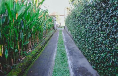 Peliatan House | D'sila House