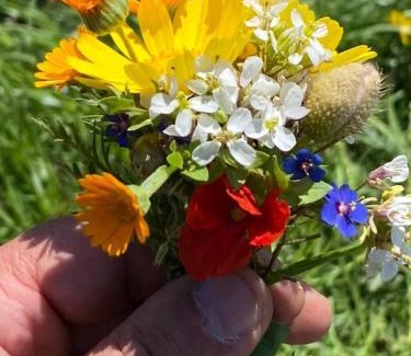 Candela Hotel | da Ercole all'Orecchietta