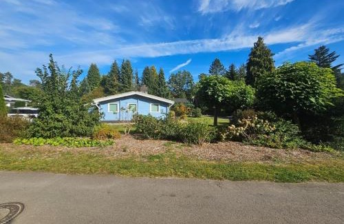 Winsen House | Dachsbau