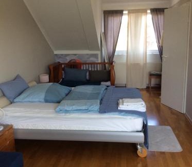 Nippes House | Dachstudio mit Bad und Terasse