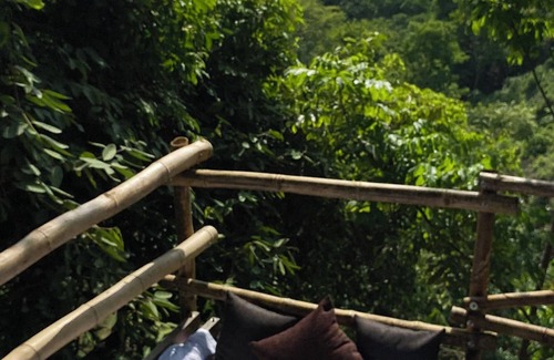 Los Naranjos Cabin | Dacnis tayrona glamping