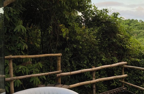 Los Naranjos Cabin | Dacnis tayrona glamping