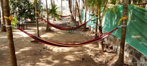 Nagaon House | DAKWE COTTAGe