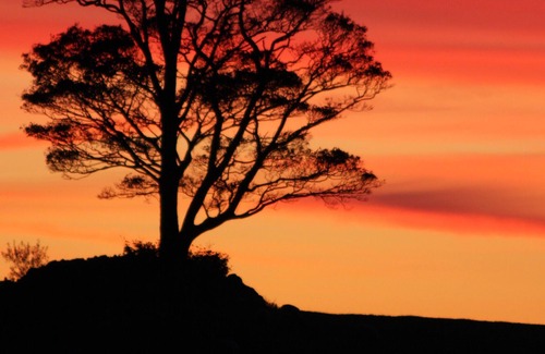 Westhouse House | Dales retreat with parking . Walks from the door. No pets