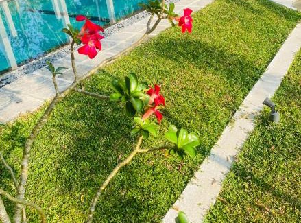 Hettimulla House | Dana Villa