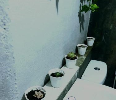 Nuwara Eliya Bed & Breakfast | DaNish Cabin