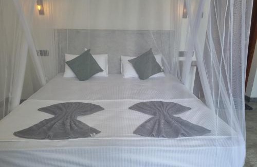 Dickwella House | Danu Surf House Hiriketiya