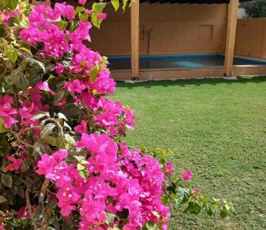 Tunis Village Villa | Dar AlQmadar