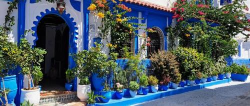 Medina of Chefchaouen House | Dar Yakout