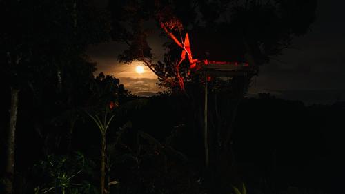 Sigiriya House | Darshani Lodge