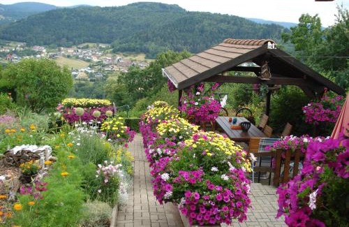 Haselbourg House | Das Gîte Fleuri Mit Einer Herrlichen Aussicht